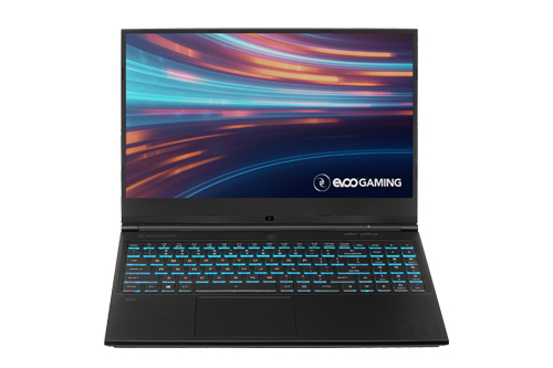 EG-LP10-BK - $349 - EVOO GAMING Core™ i5-10300H 256GB SSD 8GB 15.6 ...